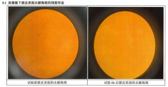 그림입니다.
원본 그림의 이름: mem00000e44262e.jpg
원본 그림의 크기: 가로 554pixel, 세로 287pixel